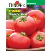 Burpee Cloudy Day Hybrid Tomato Seeds