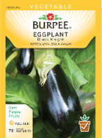 Burpee Black Knight Eggplant Seeds Perspective: Main