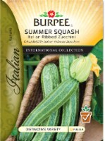 Burpee Italian Ribbed Zucchini Summer Squash Seeds Perspective: Main
