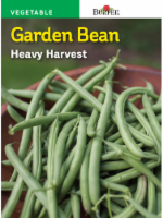 Burpee Heavy Harvest Garden Bean Seeds - Green Perspective: Main