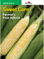 Burpee Farmer's First Hybrid Sweet Corn Seeds - Yellow Perspective: Main