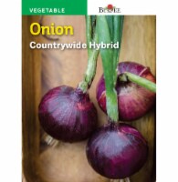 Burpee Countrywide Hybrid Onion Seeds Perspective: Main