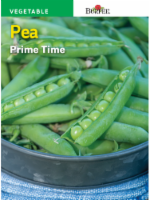Burpee Prime Time Pea Seeds - Green Perspective: Main