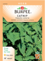 Burpee® Catnip Seeds Perspective: Main