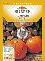 Burpee Pumpkin Big Max Seeds - Orange