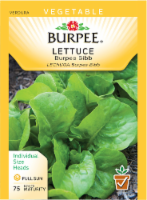 Burpee Bibb Lettuce Seeds - Green
