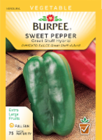 Burpee Great Stuff Hybrid Sweet Pepper Seeds Perspective: Main