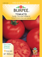 Burpee Early Harvest Hybrid Tomato Seeds Perspective: Main