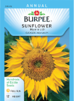 Burpee Mammoth Sunflower Seeds