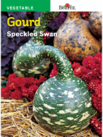 Burpee Speckled Swan Gourd Seeds - Green Perspective: Main