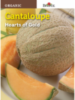 Burpee® Hearts of Gold Organic Cantaloupe Seeds Perspective: Main