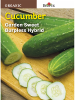 Burpee® Garden Sweet Burpless Cucumber Seeds Perspective: Main