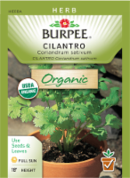 Burpee® Organic Cilantro Seeds Perspective: Main