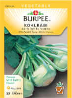 Burpee Early White Vienna Kohlrabi Seeds Perspective: Main