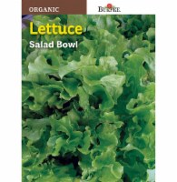 Burpee Organic Salad Bowl Lettuce Seeds Perspective: Main