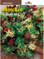 Burpee® Classic Mix Mesclun Seeds Perspective: Main