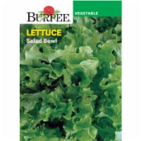 Burpee® Salad Bowl Leaf Lettuce Seeds Perspective: Main