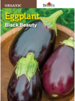 Burpee® Black Beauty Organic Eggplant Seeds - Purple Perspective: Main
