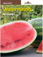 Burpee Allsweet Organic Watermelon Seeds - Green Perspective: Main