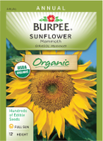 Burpee® Mammoth Organic Sunflower Seeds Perspective: Main