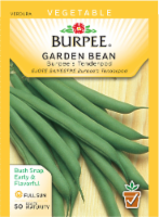 Burpee® Tenderpod Garden Bean Seeds - Green Perspective: Main