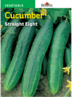 Burpee® Straight Eight Heirloom Cucumber Seeds Perspective: Main