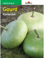 Burpee Corsican Gourd Seeds - Green Perspective: Main