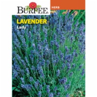 Burpee Lavender Lady Seeds Perspective: Main
