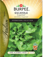 Burpee® Sugarloaf Escarole Lettuce Seeds Perspective: Main