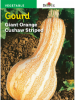 Burpee Giant Cushaw Striped Gourd Seeds - Orange Perspective: Main