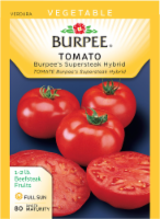 Burpee® Supersteak Hybrid Tomato Seeds Perspective: Main