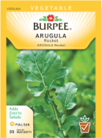 Burpee® Arugula Rocket Seeds Perspective: Main