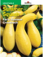Burpee® Early Summer Golden Crookneck Squash Seeds - Yellow