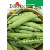 Burpee® Pea Progress #9 Seeds Perspective: Main