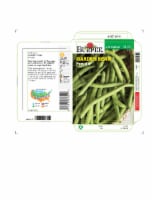 Burpee Provider Heirloom Garden Bean Seeds Perspective: Main