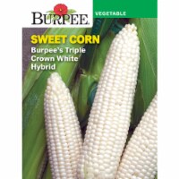 Burpee Triple Crown White Hybrid Sweet Corn Seeds