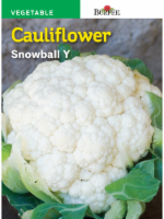 Burpee® Cauliflower Snowball Y Seeds Perspective: Main
