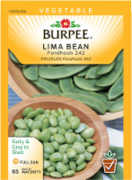 Burpee® Fordhook 242 Lima Bush Bean Seeds - Green Perspective: Main