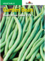Burpee Blue Lake 274 Bush Bean Seeds - Green Perspective: Main
