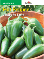 Burpee Early Hot Jalapeno Seeds