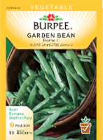 Burpee Roma II Garden Bean Seeds Perspective: Main