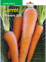 Burpee® Danvers 126 Half-Long Carrot Seeds - Orange Perspective: Main