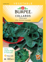 Burpee® Georgia Collard Seeds Perspective: Main