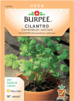 Burpee® Cilantro Seeds