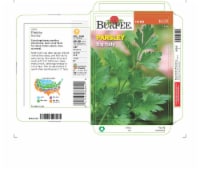 Burpee® Big Italy Parsley Seeds Perspective: Main