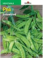 Burpee® Snowbird Pea Seeds Perspective: Main