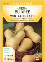 Burpee® Butterbush Winter Squash Seeds - Tan Perspective: Main