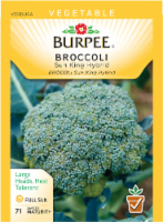 Burpee® Sun King Hybrid Broccoli Seeds