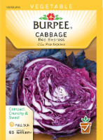 Burpee Red Express Cabbage Seeds Perspective: Main