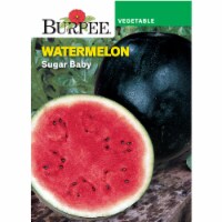 Burpee® Blush Sugar Baby Watermelon Seeds Perspective: Main